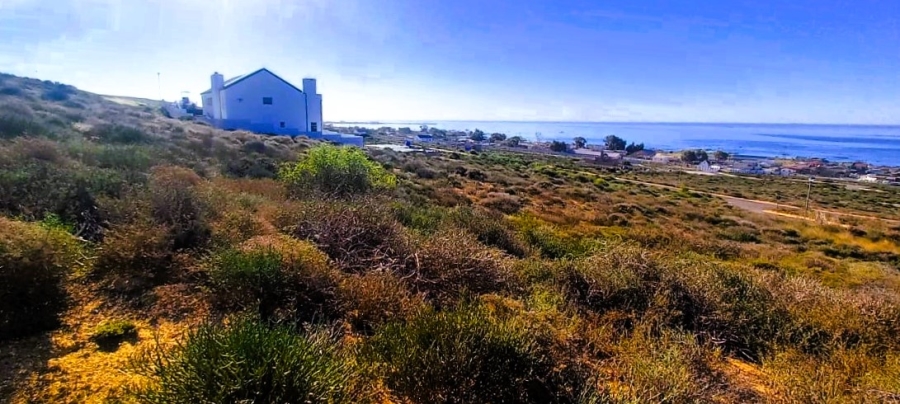0 Bedroom Property for Sale in Steenbergs Cove Western Cape